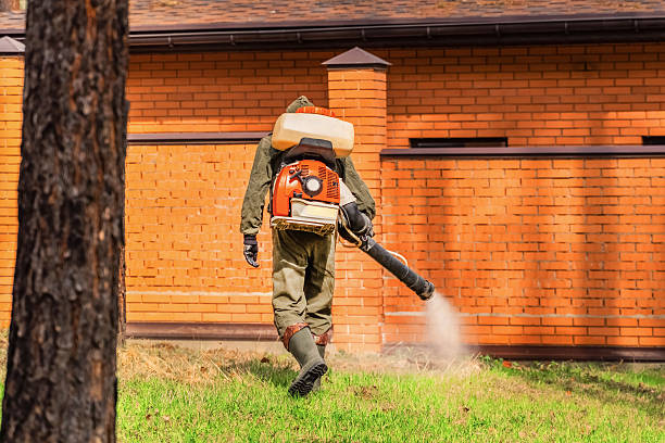 Trusted Termite Control service in Magnet Cove, AR - Nex Pest Control